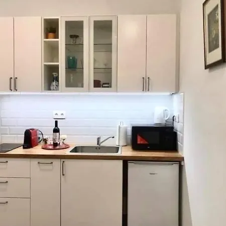 Nick's Apartment-spacious, And Quiet, By Margit Bridge * Budapest