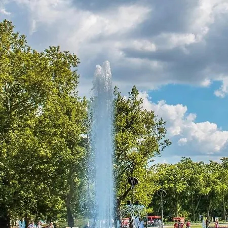 Nick's Apartment-spacious, And Quiet, By Margit Bridge